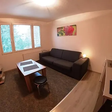 Apartment Garsonka Hlinik
