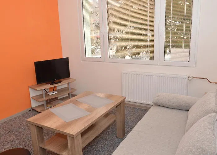 Garsonka Hlinik Apartment *